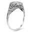 The Elam Ring, smalltop view on a hand