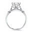 The Lorelai Ring, smallside view