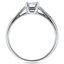 The Mindel Ring, smallside view