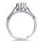 The Berlin Ring, smallside view