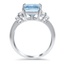 The Cecos Ring, smallside view