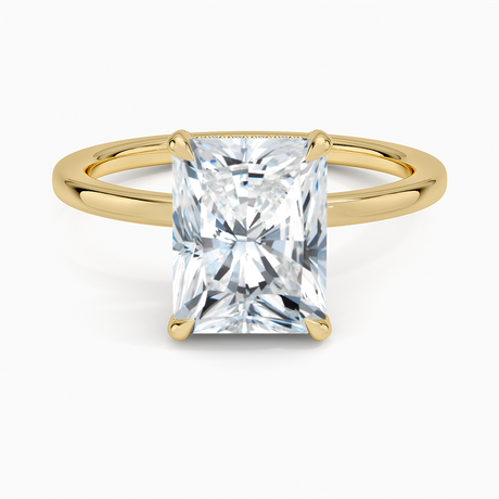 Surprise Diamond Engagement Ring Setting
