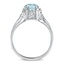 The Lucero Ring, smallside view