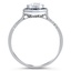 The Asti Ring, smallside view
