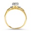 The Delois Ring, smallside view