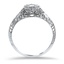 The Marty Ring, smallside view