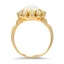 The Dissing Ring, smallside view
