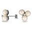 The Colonial Earrings