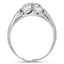 The Delphinia Ring, smallside view