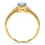 The Margie Ring, smallside view