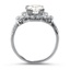 The Roseanne Ring, smallside view