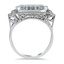 The Virika Ring, smallside view