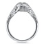 The Minnie Ring, smallside view