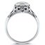 The Arianna Ring, smallside view