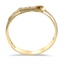 The Florida Ring, smallside view