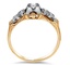 The Numa Ring, smallside view
