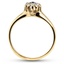 The Merrie Ring, smallside view
