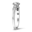 The Schraeder Ring, smalltop view on a hand