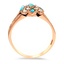 The Ashwini Ring, smallside view