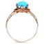 The Laysa Ring, smallside view