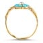 The Santa Monica Ring, smallside view