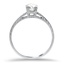 The Aletha Ring, smallside view