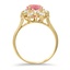 The Ediva Ring, smallside view