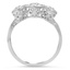 The Chance Ring, smallside view