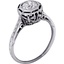 The Reina Ring, smallside view