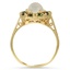 The Deloria Ring, smallside view