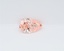 1.00 Ct. Fancy Vivid Pink Pear Lab Grown Diamond