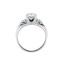 The Sakura Ring, smallside view