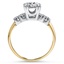 The Aurora Ring, smallside view