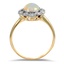 The Kristy Ring, smallside view