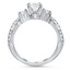 The Lasenby Ring, smallside view