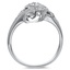 The Raisie Ring, smallside view