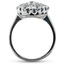 The Ravinia Ring, smallside view