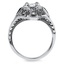 The Ileana Ring, smallside view