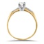 The Elizebeth Ring, smallside view