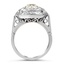The Tomasine Ring, smallside view