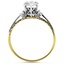 The Rina Ring, smallside view