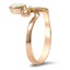 The Joye Ring, smallside view