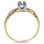 The Turua Ring, smallside view
