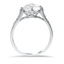 The Anamaria Ring, smallside view