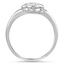 The Anchor Ring, smallside view