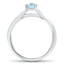 The Maritsa Ring, smallside view