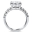 The Oleana Ring, smallside view
