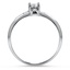 The Kady Ring, smallside view