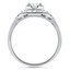 The Einat Ring, smallside view