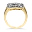 The Dannika Ring, smallside view